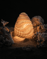 THE SHELL LAMP