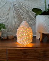 THE SHELL LAMP
